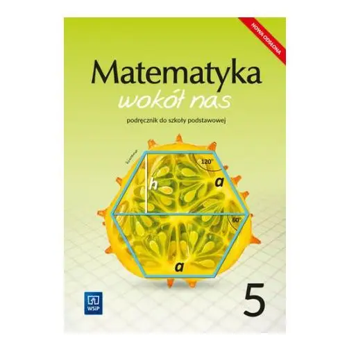 Matematyka wokół nas. podręcznik. klasa 5