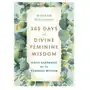 365 Days of Divine Feminine Wisdom Luna, Rachel Sklep on-line