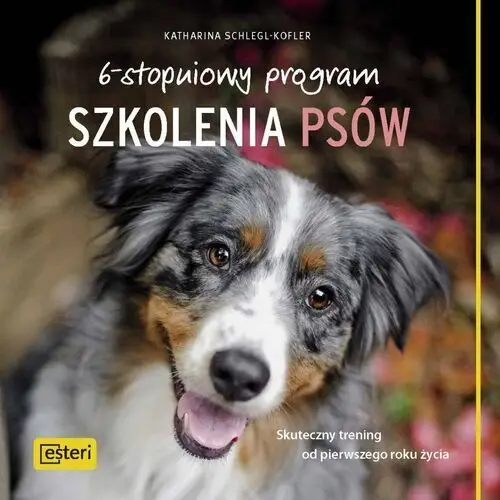 6-stopniowy program szkolenia psów. Skuteczny trening od pierwszego roku życia