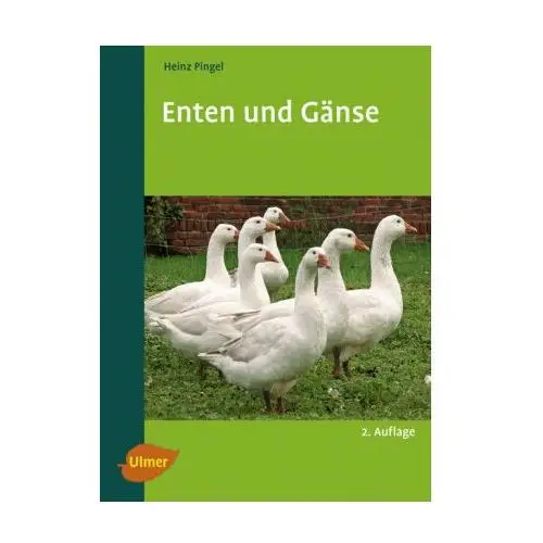 Enten und gänse