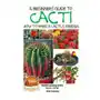 A Beginner's Guide to Cacti - How to Make a Cactus Garden Sklep on-line