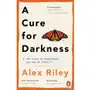 A Cure for Darkness The story of depression and how we treat it Sklep on-line