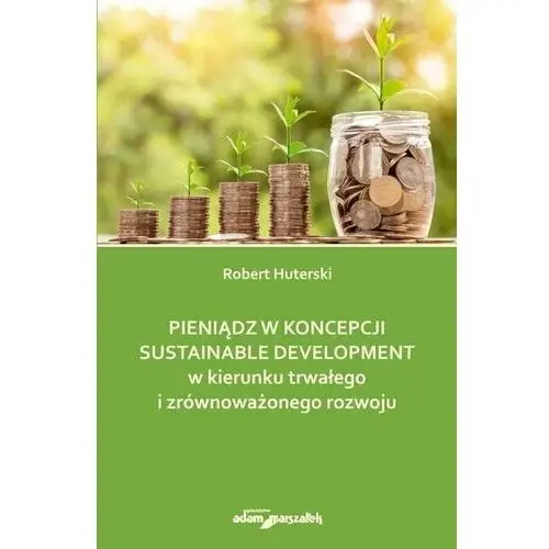 Pieniądz w koncepcji sustainable development