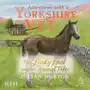 Adventures with a Yorkshire Vet. The Lucky Foal and Other Animal Tales Sklep on-line