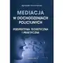 Mediacja w dochodzeniach policyjnych. perspektywa teoretyczna i praktyczna, AZ#388ED727EB/DL-ebwm/pdf Sklep on-line