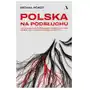 Polska na podsłuchu. Jak Pegasus, najpotężniejszy szpieg w historii, zmienił się w narzędzie brudnej polityki Sklep on-line