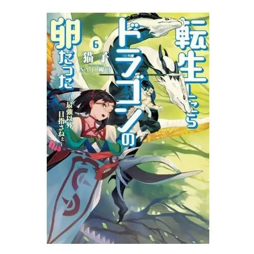 Reincarnated as a dragon hatchling (light novel) vol. 6 Airship