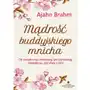 Ajahn brahm Mądrość buddyjskiego mnicha. od świadomej medytacji po eliminację niepokoju i gonitwy myśli Sklep on-line