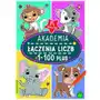 Akademia łączenia liczb 1-100 plus Sklep on-line