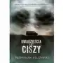 Dwadzieścia lat ciszy, AZ#5C1D5BD5EB/DL-ebwm/epub Sklep on-line