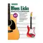 Blues Licks Encyclopedia: Over 300 Guitar Licks Sklep on-line