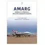Amarg: america's strategic military aircraft reserve Jim, dunn,; a, veronico, nicholas Sklep on-line
