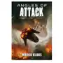 Angles of Attack Sklep on-line