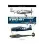 American fighter aircraft of world war 2 Amber Sklep on-line