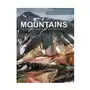 Mountains: great peaks and ranges of the world Amber books Sklep on-line