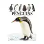 PENGUINS Sklep on-line