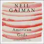 American Gods: The Tenth Anniversary Edition Sklep on-line