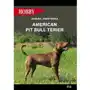 American Pit Bull Terier Sklep on-line