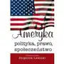 Ameryka. Polityka, prawo, społeczeństwo Sklep on-line