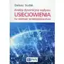 Analiza dynamiczna wpływu usieciowienia na wartość przedsiębiorstwa Sklep on-line