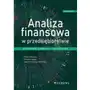 Analiza finansowa w przedsiębiorstwie Sklep on-line