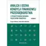 Analiza i ocena kondycji finansowej przedsiębiorstwa Sklep on-line