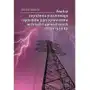 Analiza zagrożenia piorunowego i sposobów jego ograniczenia w liniach napowietrznych 110 kV–400 kV Sklep on-line