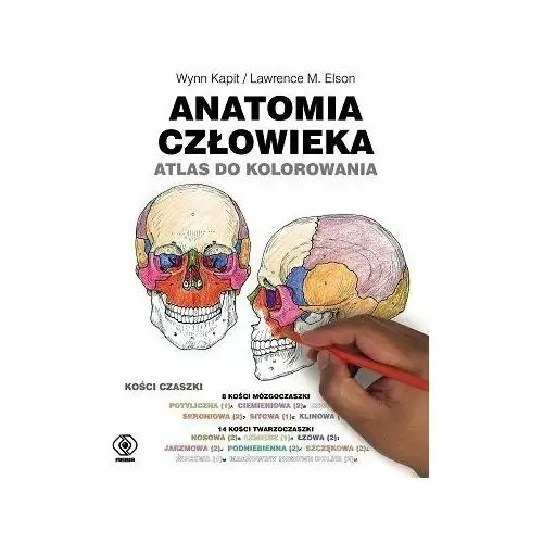 Anatomia człowieka. Atlas do kolorowania