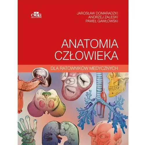 Anatomia człowieka dla ratowników medycznych