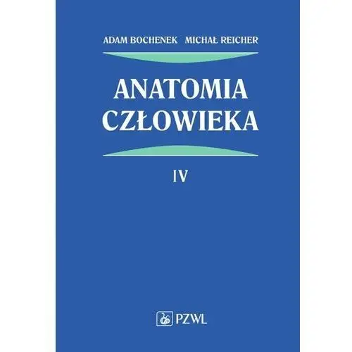 Anatomia człowieka Tom 4