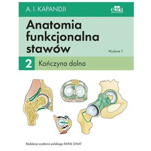 Anatomia Funkcjonalna Stawów Tom 2 Kończyna Dolna