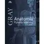 Anatomia Gray. Pytania testowe. Tom 1-3 Sklep on-line