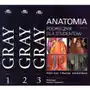 Anatomia Gray Tom 1-3 Podręcznik Gray'a Sklep on-line