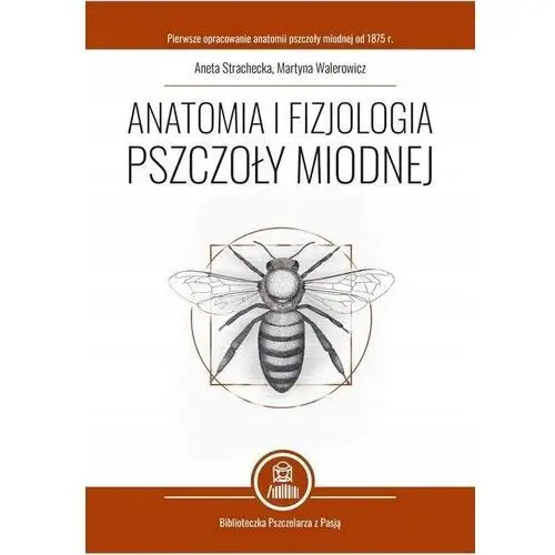 Anatomia i fizjologia pszczoły miodnej