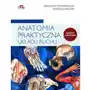 Anatomia praktyczna układu ruchu. Ćwiczenia Sklep on-line