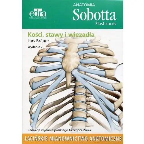 Anatomia Sobotta Flashcards Kości stawy i więzadła. Łacińskie mianownictwo anatomiczne - Brauer Lars - książka