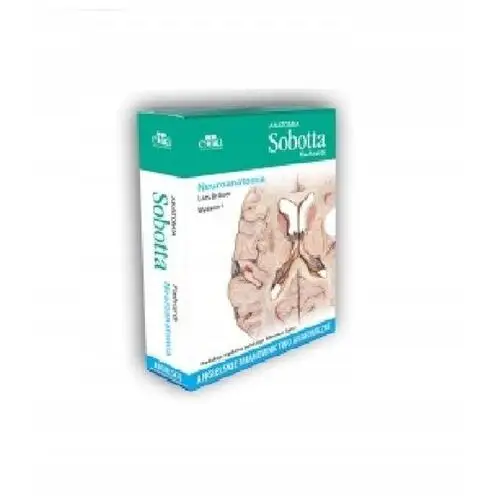 Anatomia Sobotta Flashcards Neuroanatomia