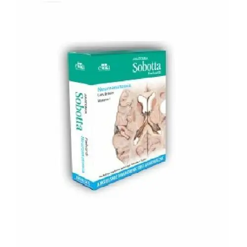 Anatomia Sobotta Flashcards Neuroanatomia