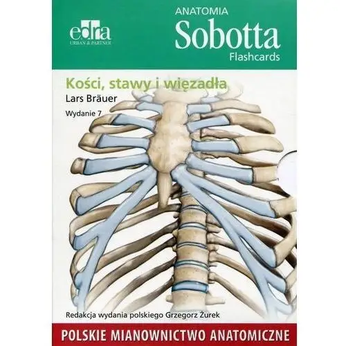 Anatomia Sobotta Flashcards pol. Kości Stawy