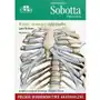 Anatomia Sobotta Flashcards pol. Kości Stawy Sklep on-line