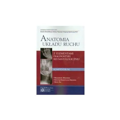 Anatomia układu ruchu