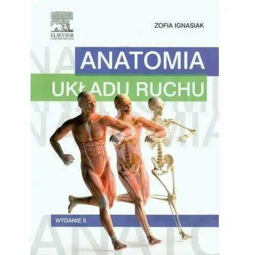 Anatomia układu ruchu Ignasiak Zofia