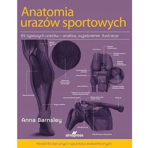 Anatomia urazów sportowych