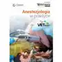 Anestezjologia w praktyce (e-book) [pdf] Sklep on-line