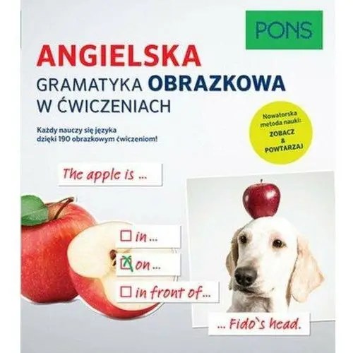 Angielska gramatyka obrazkowa w ćwiczeniach