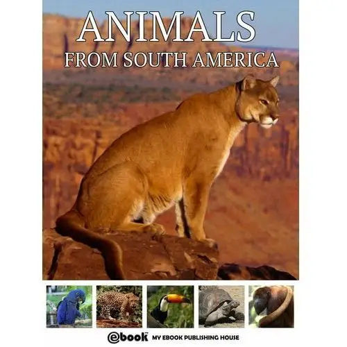 Animals from South America