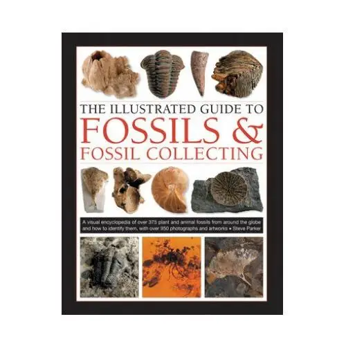 Anness publishing Fossils & fossil collecting, the illustrated guide to