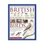 New encyclopedia of british, european & african birds Anness publishing Sklep on-line