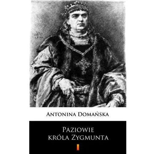 Antonina domańska Paziowie króla zygmunta