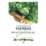 Enciclopedia de las hierbas mágicas Arkano books Sklep on-line